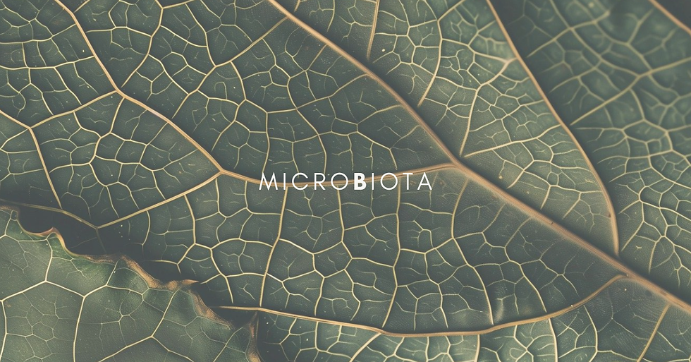 Microbiota en endometriosis Mariam Lara