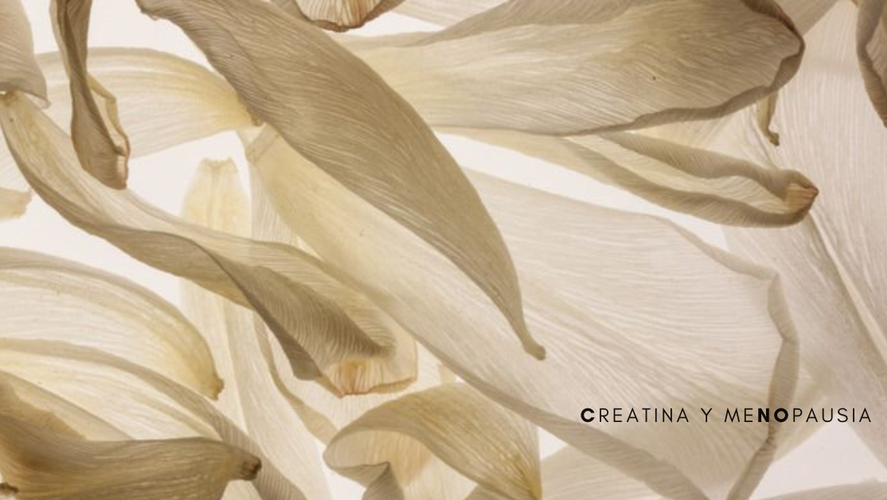 Creatina en mujeres y menopausia: beneficios, funciones y cómo incorporarla para tu salud