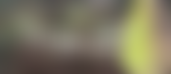 Free Font of the Month - Ryman Eco