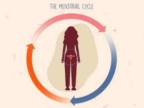 Understanding Your Menstrual Cycle: A Comprehensive Guide