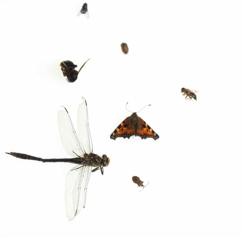 St Romain Juilet 2013_0062.jpg