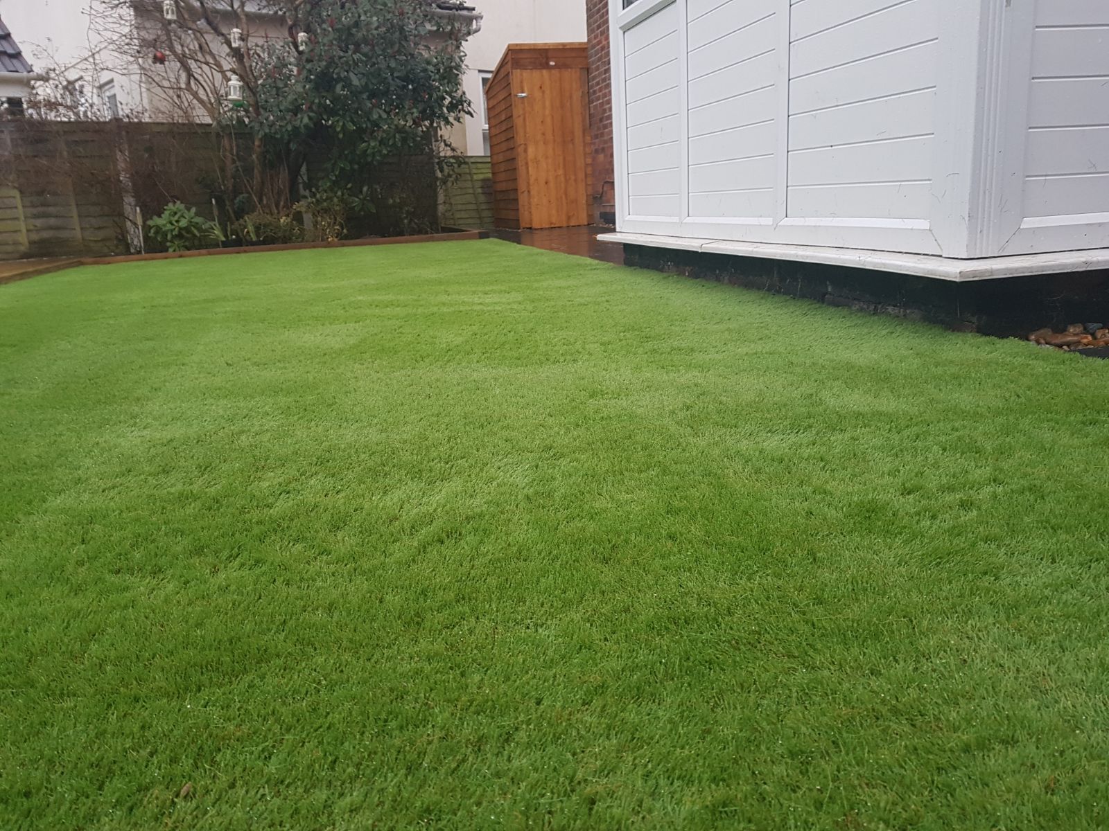 Artificial grass - Bournemouth