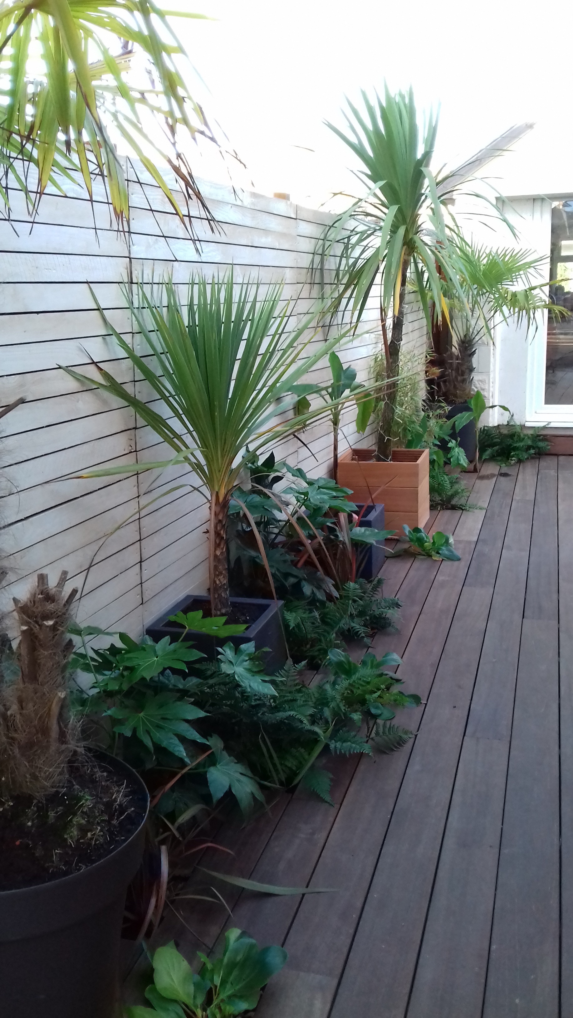 Fencing/decking - Bournemouth