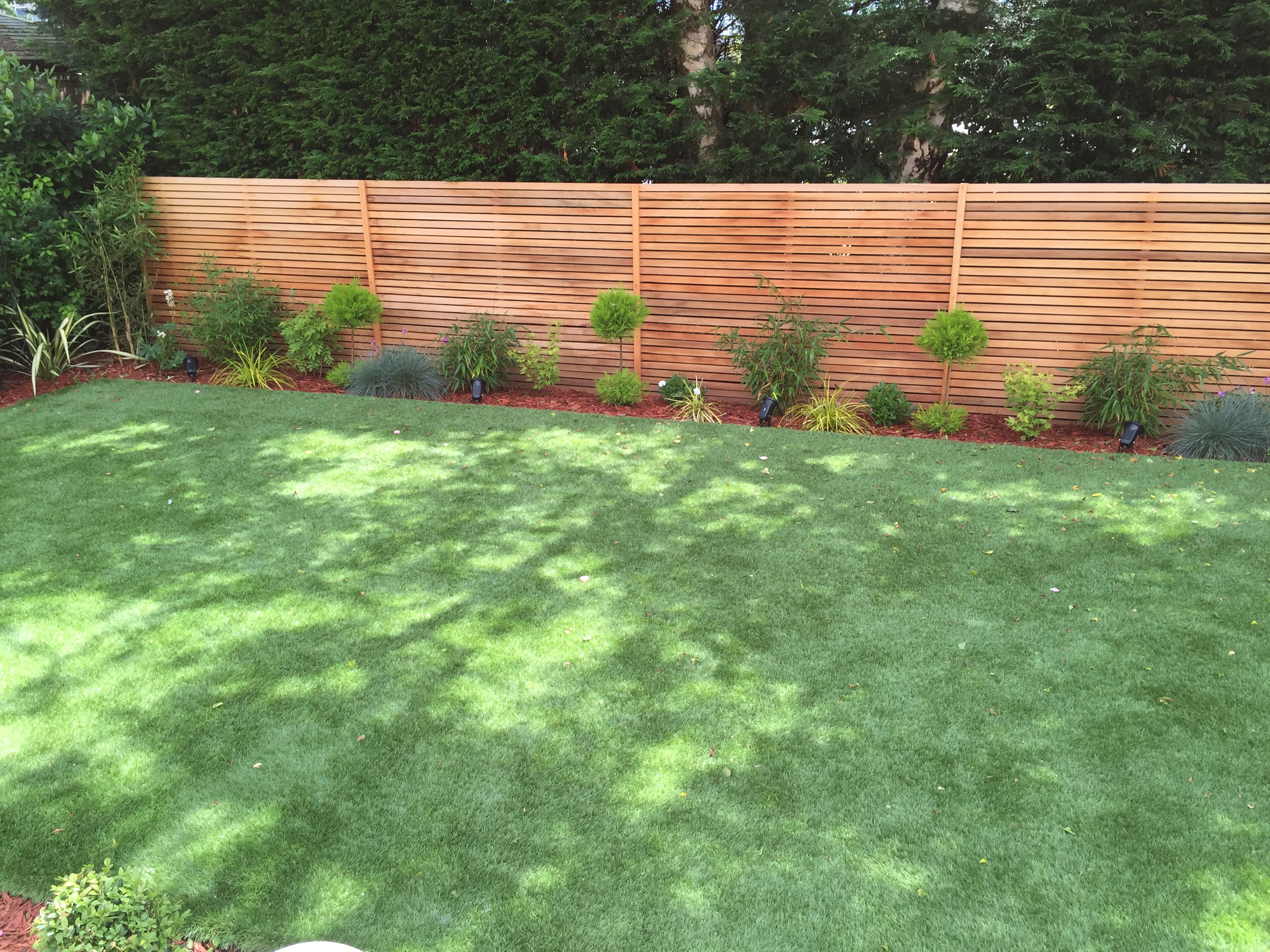 Cedar fencing - Canford Heath