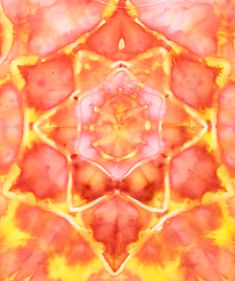 Tangerine Dharma