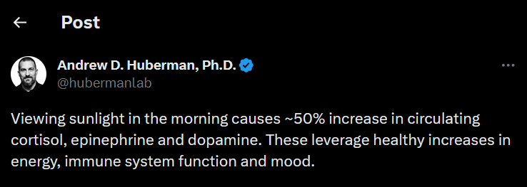 Morning sunlight increases dopamine. Andrew Huberman