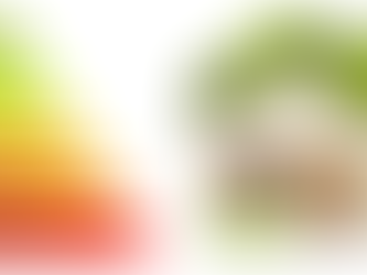 CaaS(Certification as a Service)とは?サステナブル住宅ムーブメントを起こすPearl Certificationのビジネスに迫る