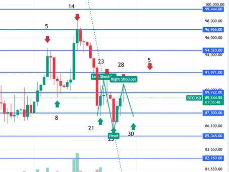 Bitcoin Update 28 Jan
