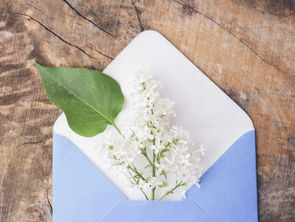 令和3年度補正 環境省 グリーンリカバリーの実現に向けた中小企業等のCO2削減比例型設備導入支援事業 【補助事業】