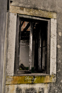 _DSC0147