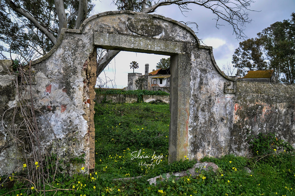 Quinta dos Ingleses