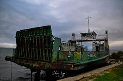 _DSC0018