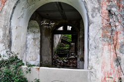 _DSC0136