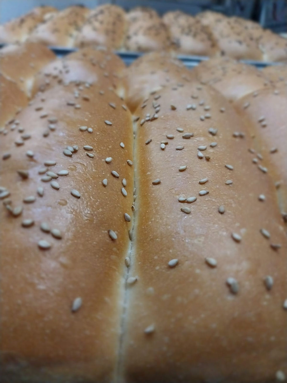 Miniatura: Pan para Hot Dog