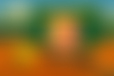 THCC Rot-Gelb Newsletter Februar 2026