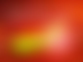 Frohes neues Jahr & Ausblick auf die Termine im 1. Quartal