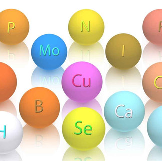 gute nahrungsergaenzungen, gesunde Gelenke