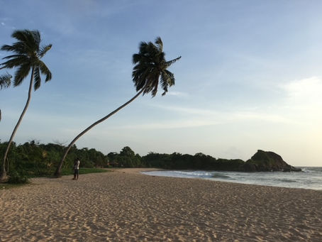 ようこそ、スリランカワールドへ!