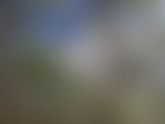 Finding Happiness in Nature...