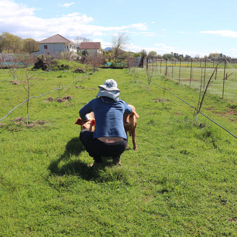 Misadventures of Mister and Roger