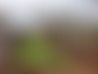 Quarantine in Albania