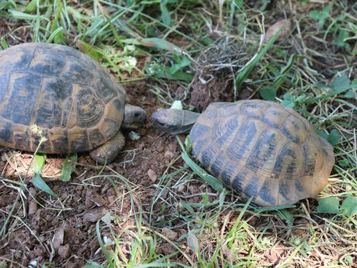 In today's episode...