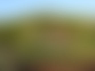 Peep, Shake, Rattle and Roll