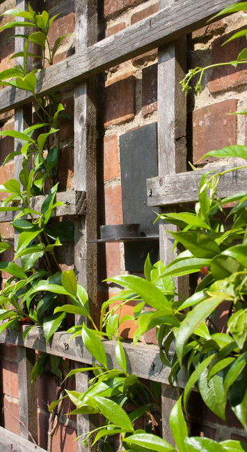 Trachelospermum on trellis on brick wall Terracotta pots on deck in bold, simple, small garden for architects.