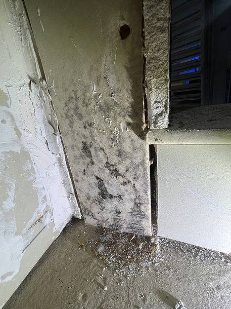 First Shield Home Inspections - Mold