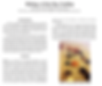 Biology of the Bay Scallop | NRAC