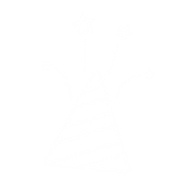 Party hat