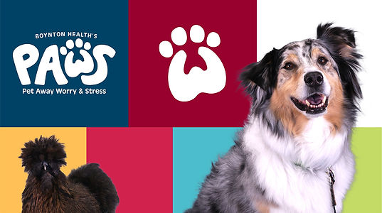 PAWS Color Pallette.jpg