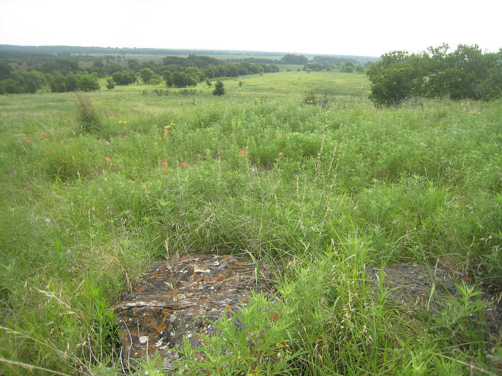 Native Tallgrass Prairie on the site of the proposed Lake Ringgold