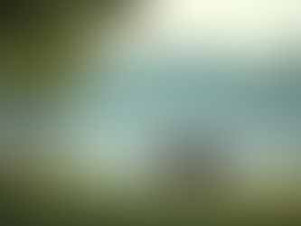 Top Strategies for Living Your Best Life in Today's World