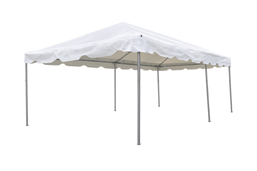 10x20 Canopy.png