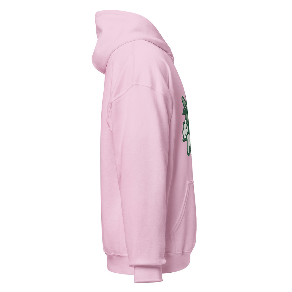 Thumbnail: Jet Picks Hoodie