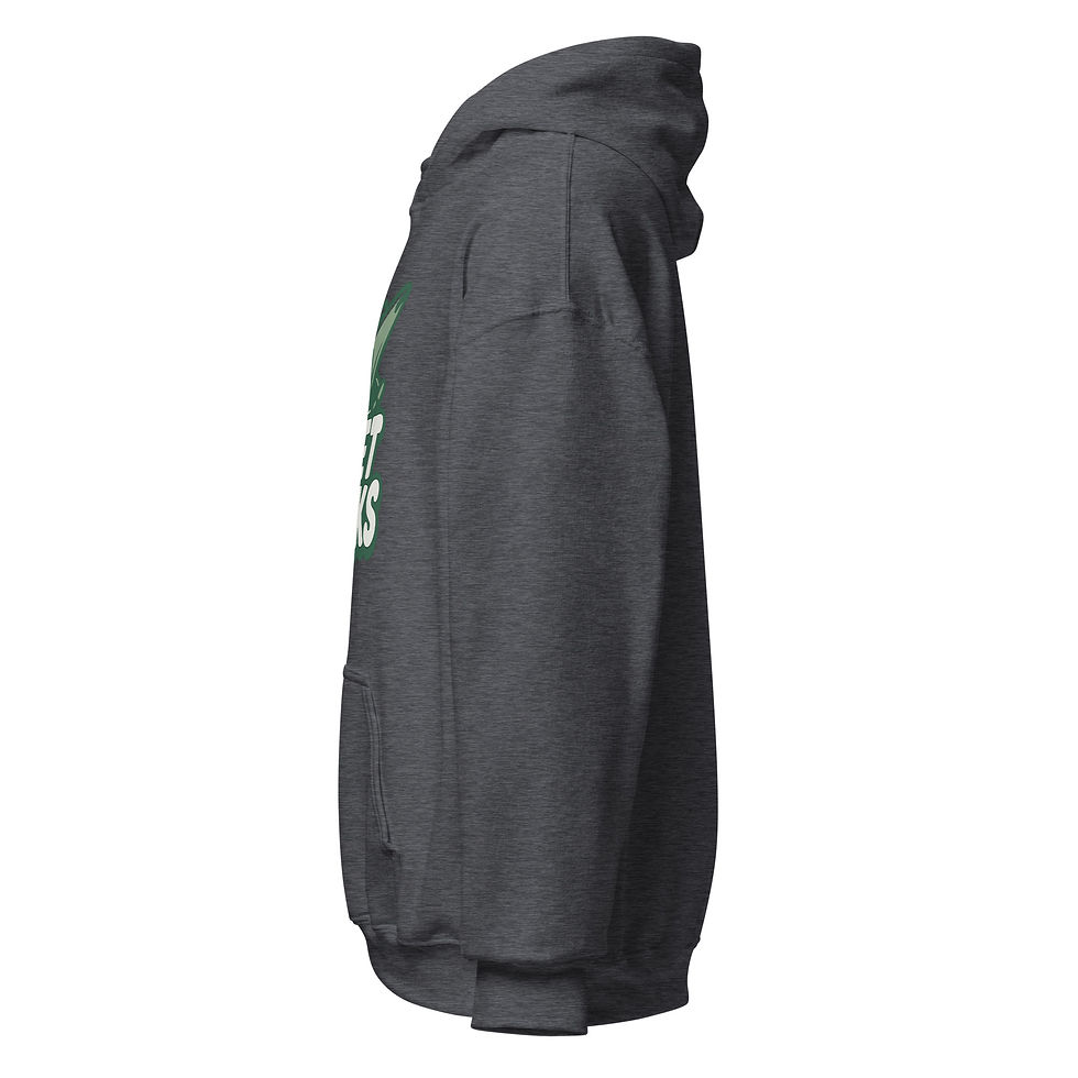 Thumbnail: Jet Picks Hoodie