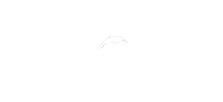 Dauphin.png
