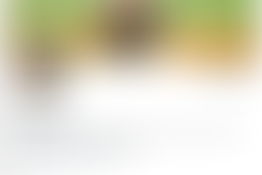 My experience with X so far, even as an avid social media user 