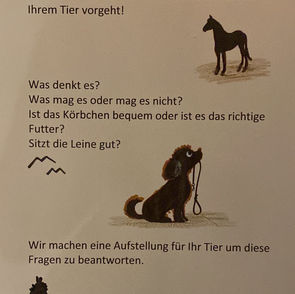 Tier-Aufstellung.jpeg