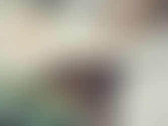 Persönlichkeit und Stil - Wie Ihr Eure Einzigartigkeit in Eure Hochzeit integrieren könnt