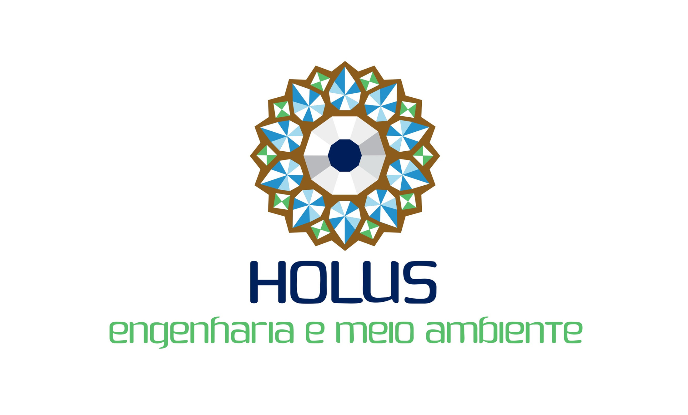 Holus Engenharia e Meio Ambiente Ltda