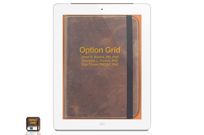 Option+Grid+1.jpg