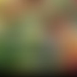 “Daha ucuz olmayacak ve uzun bir süre olacak”: Polonya'da fiyatlarda keskin bir artıştan korkuyorlar