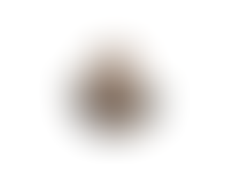 SavaÅ Sonrası Rusya-Hindistan İliÅkileri; Destek ve Denge