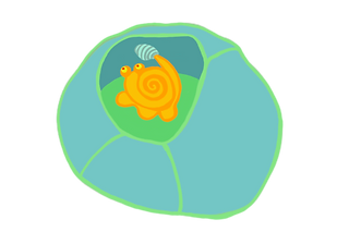 FDB77B4F-D09A-4A18-9736-FA3E83F751A7.png