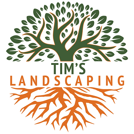 Tims Logo 180pwhite.png