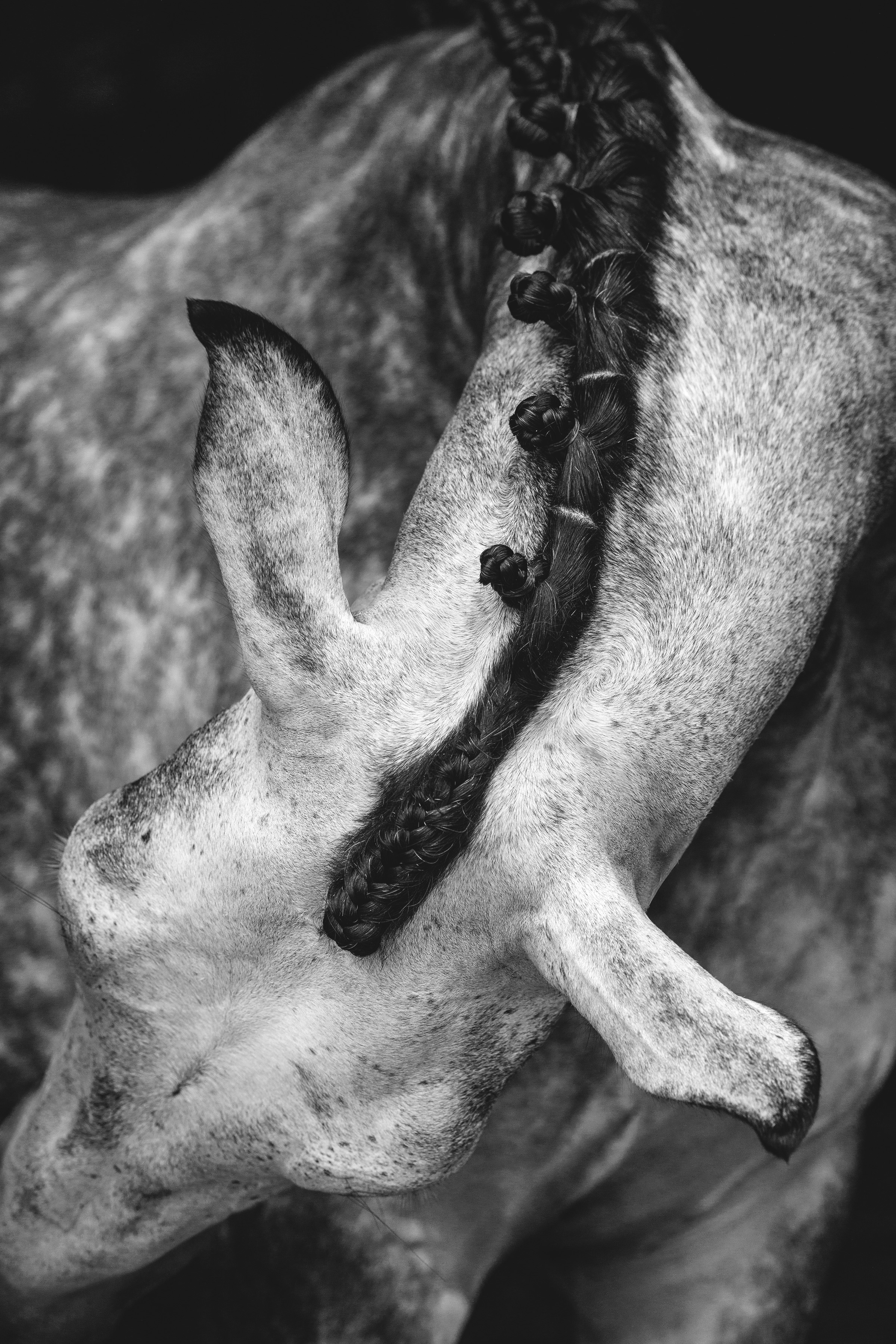 Woman with artichoke.jpg