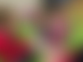 Prvouka v praxi aneb Učíme se první pomoc, 07. 02. 2025 🩹🚑