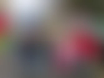 ŠD: Žvýkačková pohroma se školní družinou, 13. 03. 2025